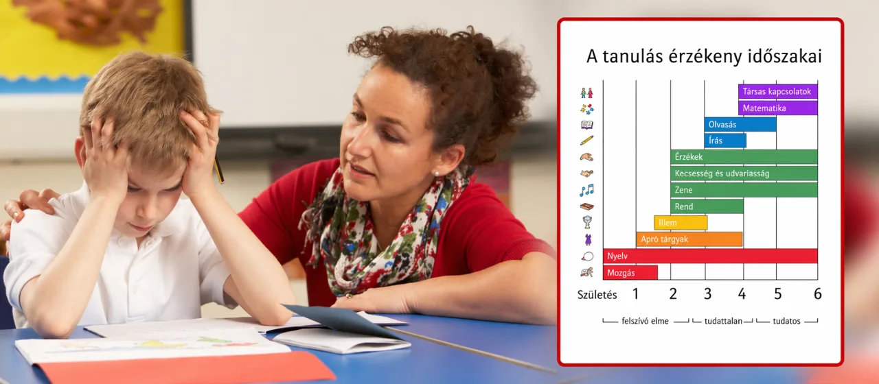 A tanulás érzékeny időszakai